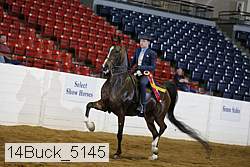 14buck_5145 proof