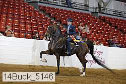 14buck_5146 proof