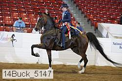 14buck_5147 proof