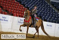 14buck_5150 proof