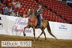 14buck_5152 proof