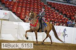 14buck_5153 proof