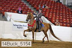 14buck_5154 proof