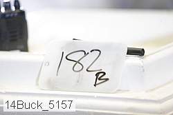 14buck_5157 proof