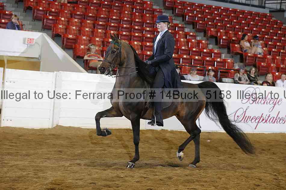 Proof 14buck_5158