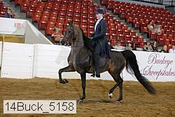 14buck_5158 proof