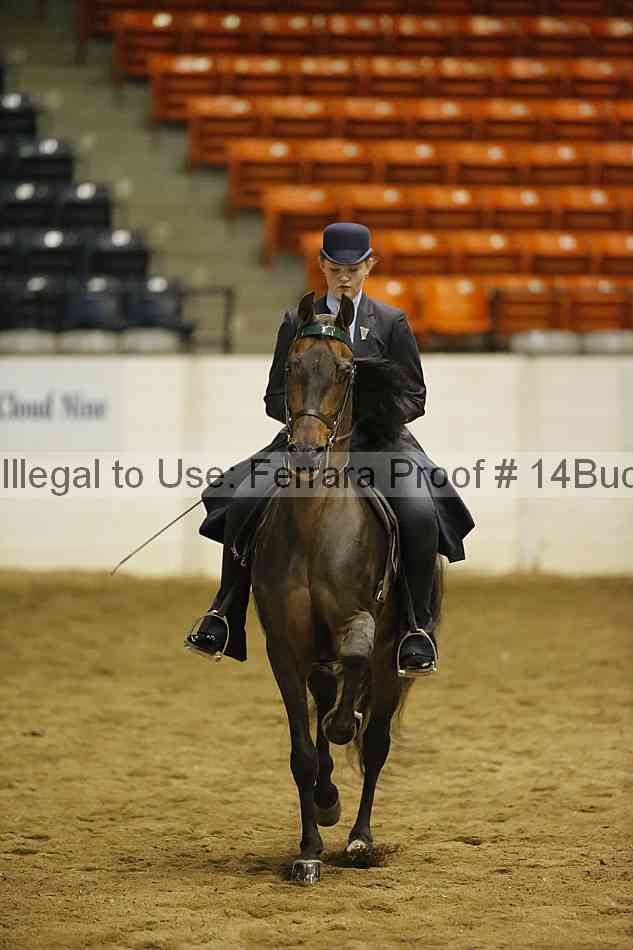 Proof 14buck_5159