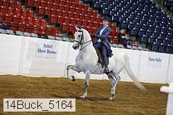 14buck_5164 proof