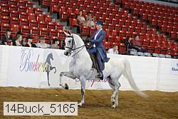 14buck_5165 proof