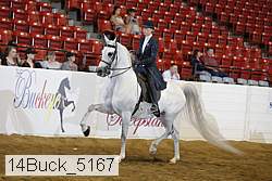 14buck_5167 proof