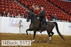 14buck_5172 proof