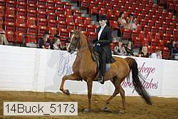 14buck_5173 proof