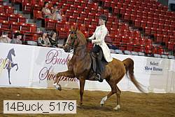 14buck_5176 proof