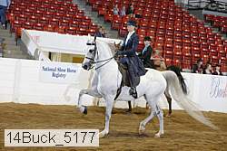 14buck_5177 proof
