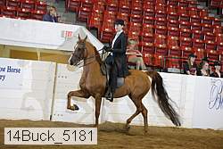 14buck_5181 proof