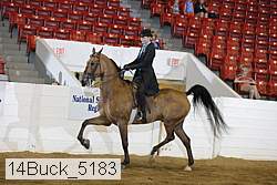 14buck_5183 proof