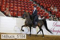 14buck_5184 proof