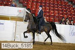 14buck_5185 proof