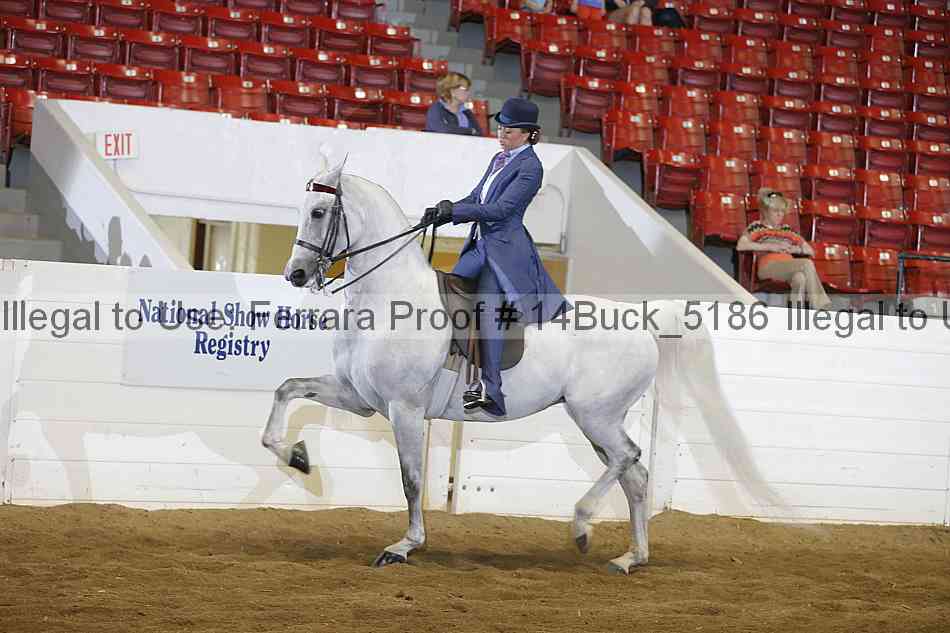 Proof 14buck_5186