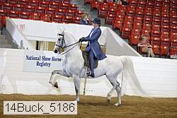14buck_5186 proof