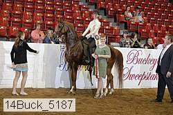 14buck_5187 proof