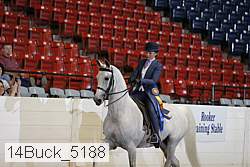14buck_5188 proof