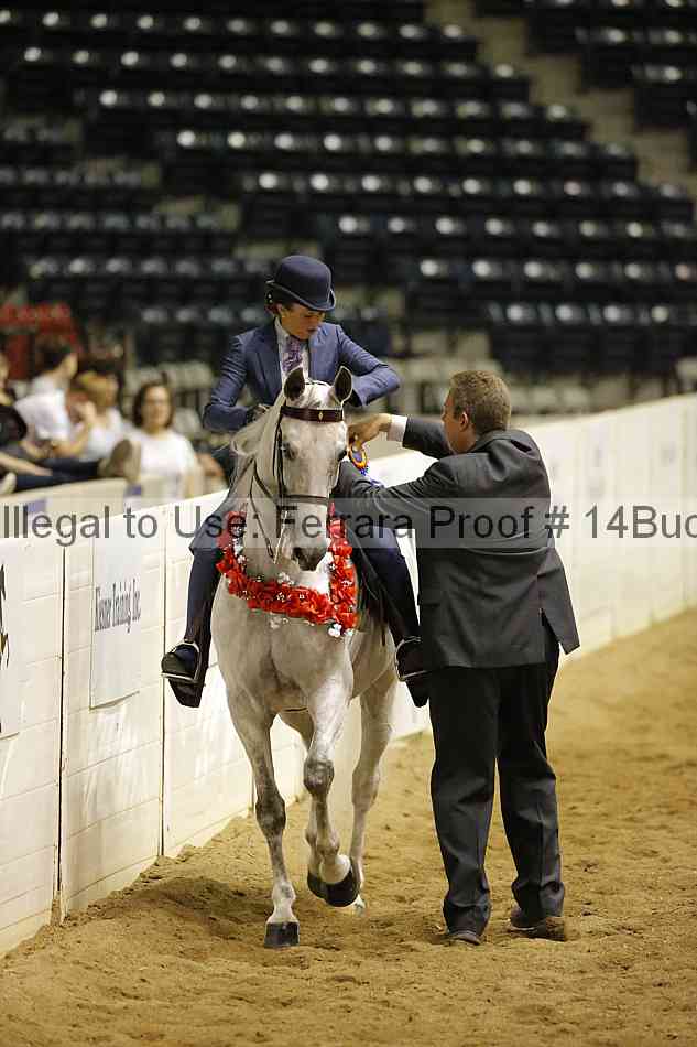 Proof 14buck_5193