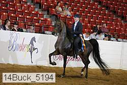 14buck_5194 proof