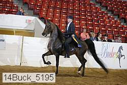 14buck_5195 proof