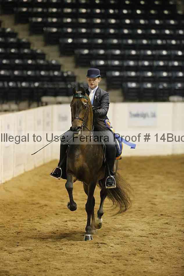 Proof 14buck_5196
