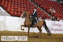 14buck_5197 proof