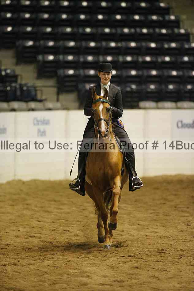 Proof 14buck_5198
