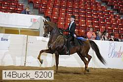 14buck_5200 proof