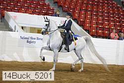 14buck_5201 proof