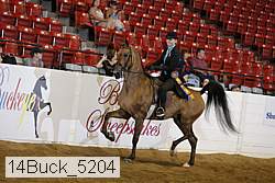 14buck_5204 proof