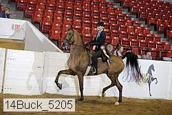 14buck_5205 proof