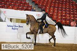 14buck_5206 proof
