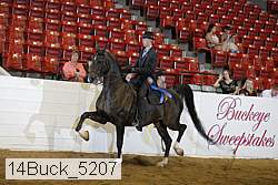 14buck_5207 proof