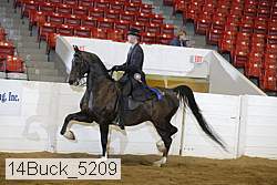14buck_5209 proof