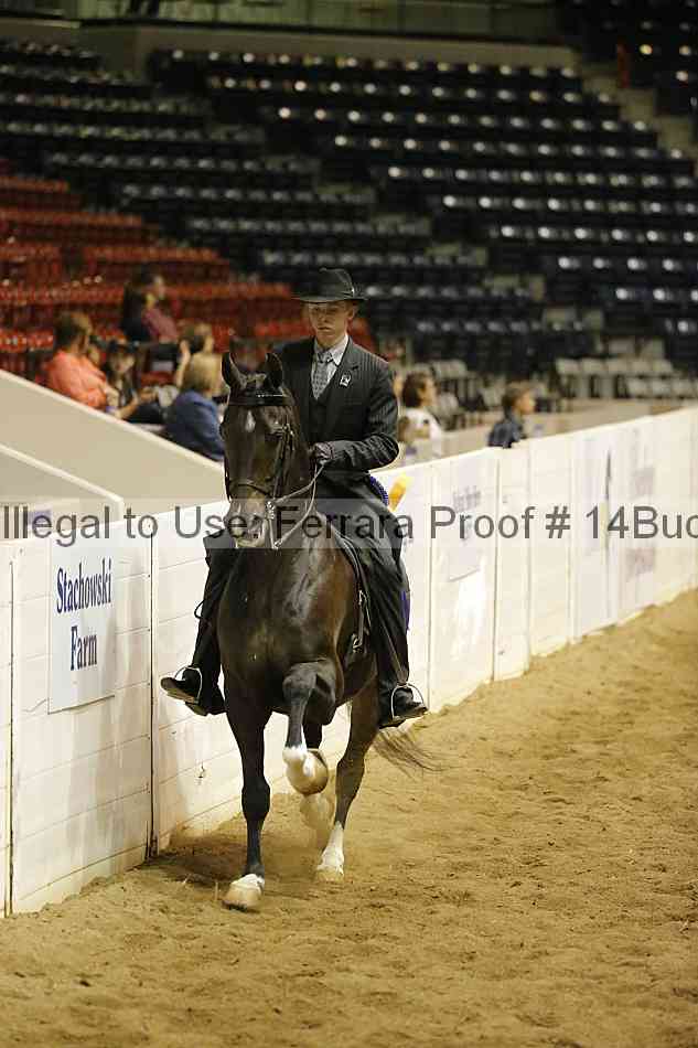 Proof 14buck_5211