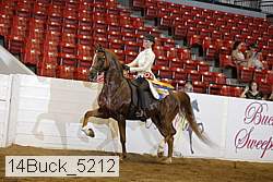 14buck_5212 proof