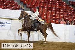 14buck_5213 proof