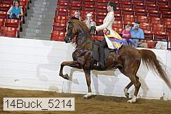 14buck_5214 proof