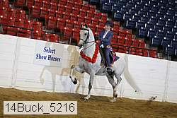 14buck_5216 proof