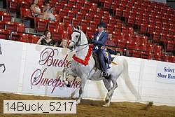 14buck_5217 proof