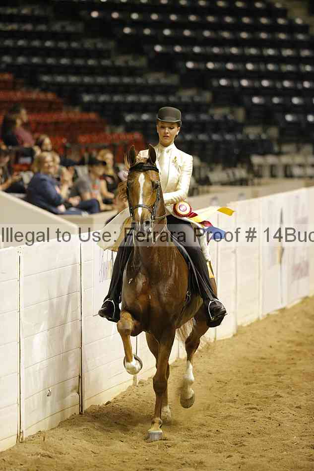Proof 14buck_5218