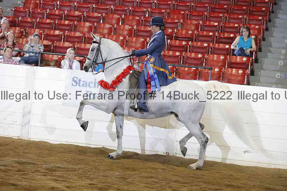 Proof 14buck_5222
