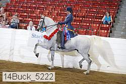 14buck_5222 proof