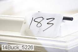 14buck_5226 proof