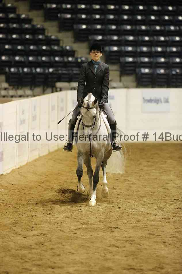 Proof 14buck_5228